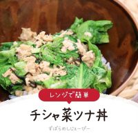 【レシピ動画】レンジで簡単「チシャ菜ツナ丼」