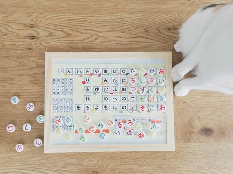 子供の知育おもちゃに◎手作りあいうえおボード