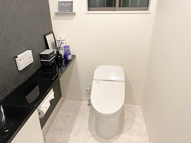 ラグジュアリーなモノトーンのトイレ内装