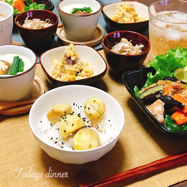 鶏肉と茄子のネギ塩炒め