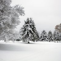 雪にまつわる言葉を意味付きで一覧化！名前・異称・季語など風情ある美しい表現とは