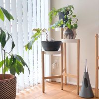 インテリアを格上げ。IKEAの「SATSUMASプラントスタンド」で植物と暮らす