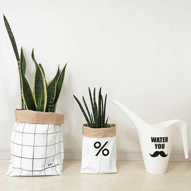観葉植物にマストなジョーロ