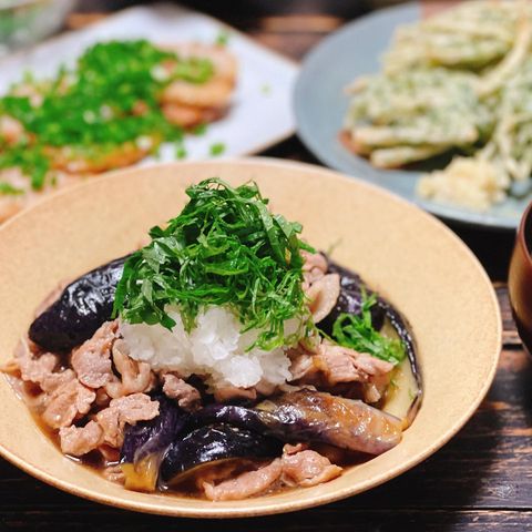 豚肉と茄子の煮おろしレシピ