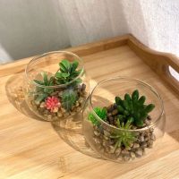 お部屋にちょっとしたミドリを。取り入れたい華やかで癒される商品をどうぞ