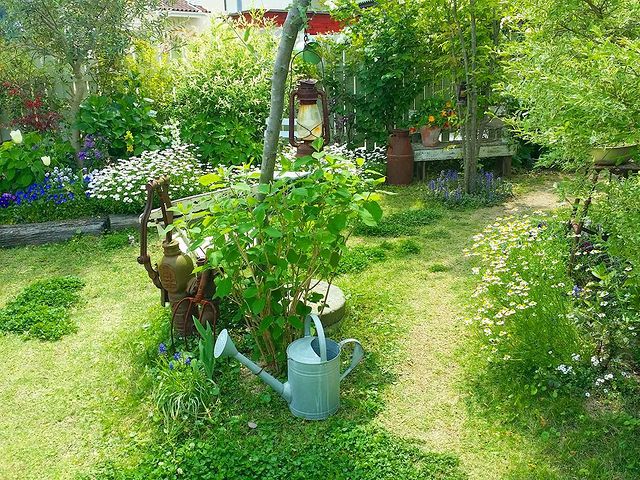 ハーブの鉢植えの花壇10