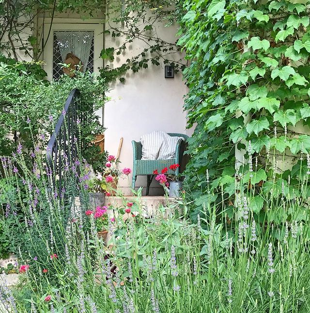 ハーブの鉢植えの花壇8