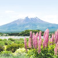 美しい響きの日本語集めました。使いたくなる綺麗な単語・フレーズ・表現など