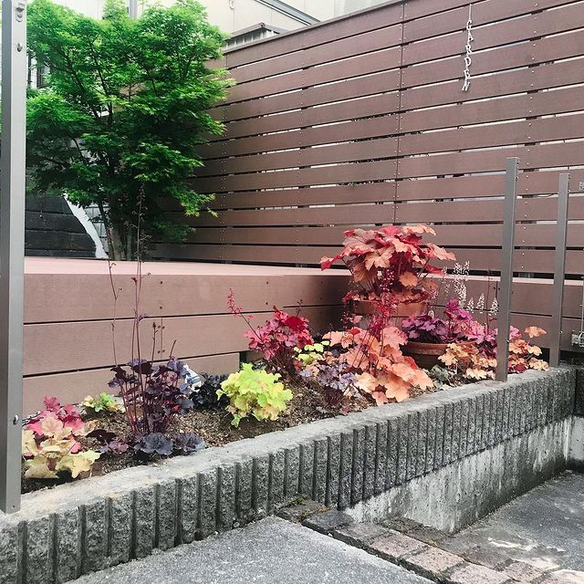 花壇のある狭い庭5